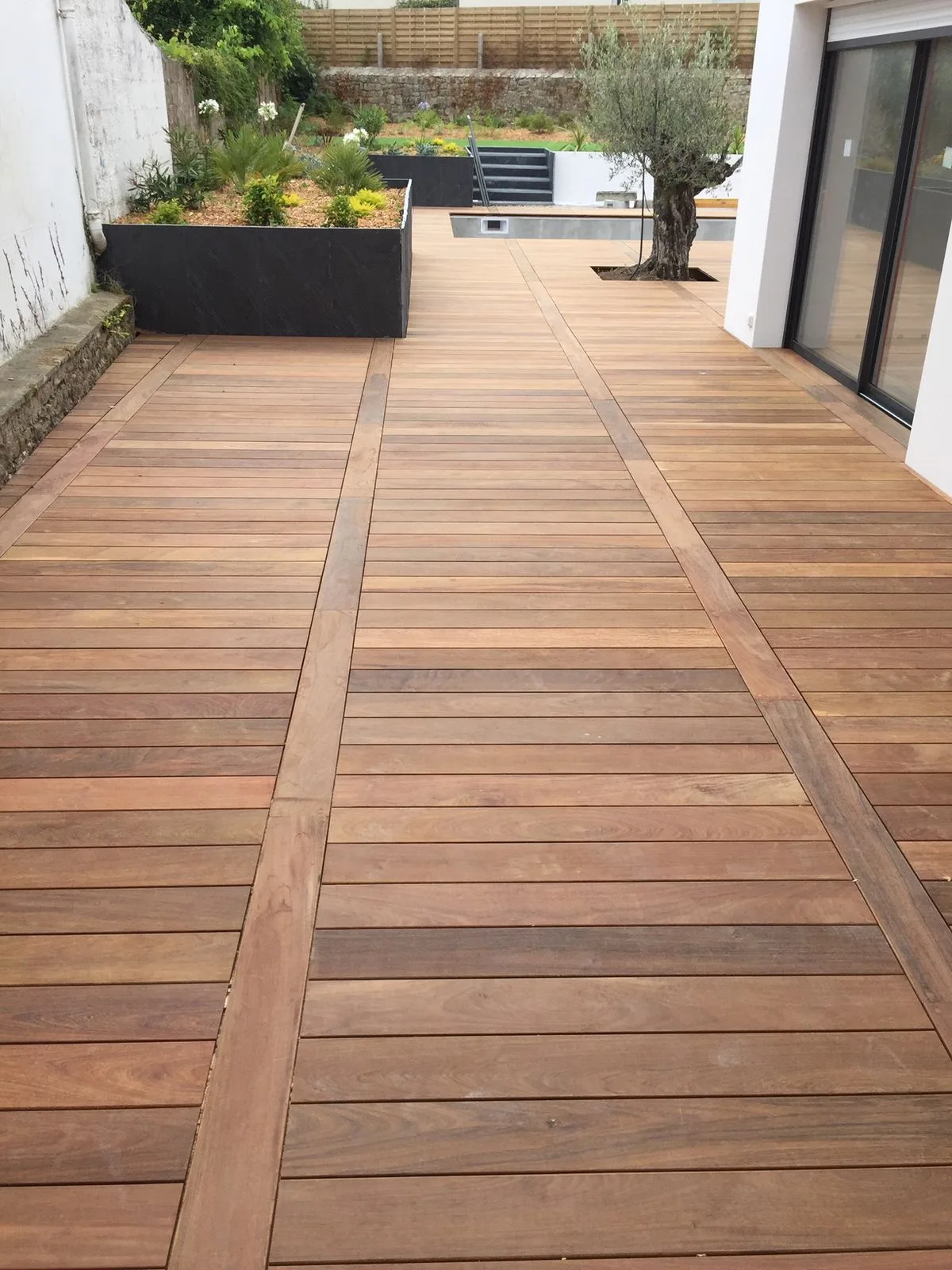 Terrasse bois exotique avec jardin et olivier